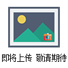 CLY-AS30吨测力仪,山东30吨测力仪价格